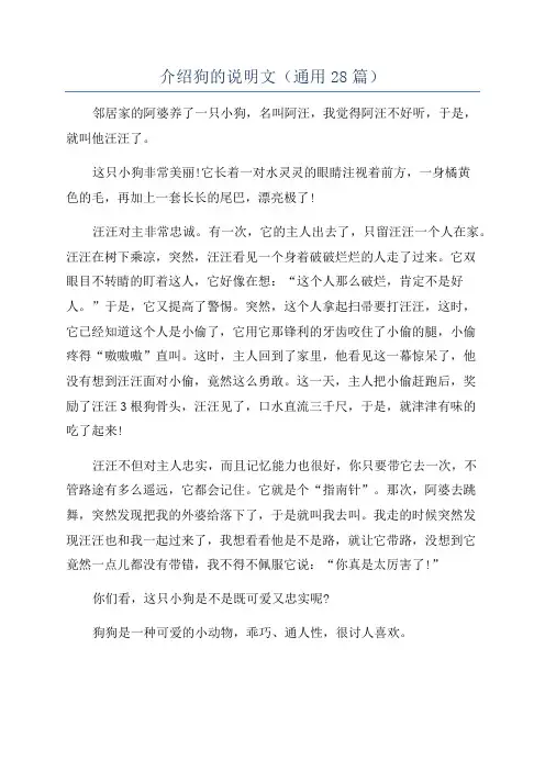 介绍狗的说明文(通用28篇)