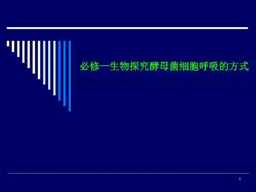 必修一生物探究酵母菌细胞呼吸的方式