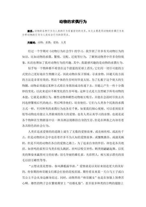 动物的求偶行为