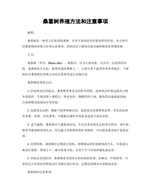 桑葚树养殖方法和注意事项
