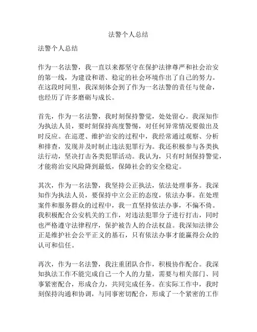 法警个人总结