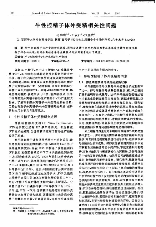 牛性控精子体外受精相关性问题