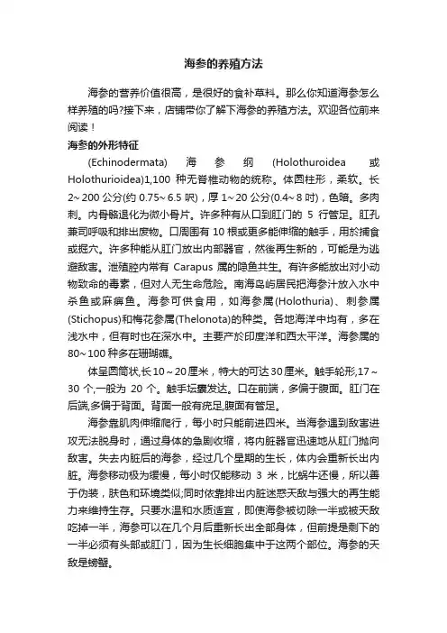 海参的养殖方法
