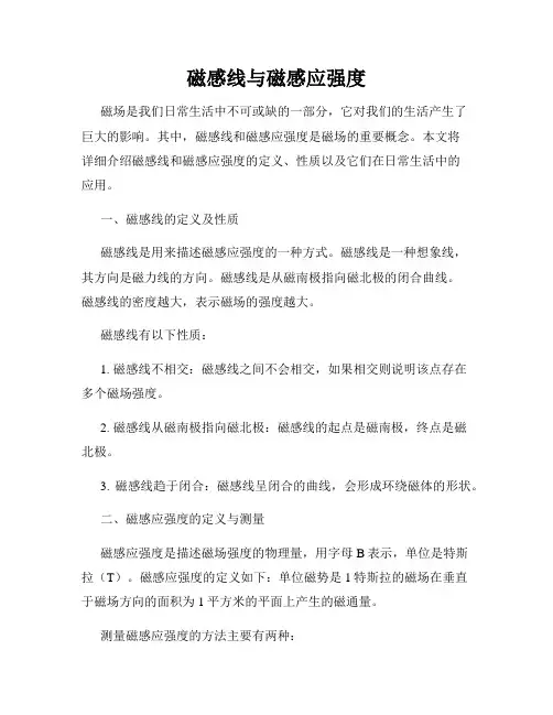 磁感线与磁感应强度