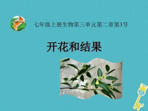 六年级生物下册 3.2.3《开花和结果》2 鲁科版五四制