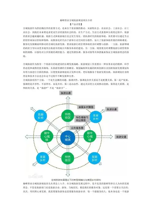 巅峰智业全域旅游专题研究