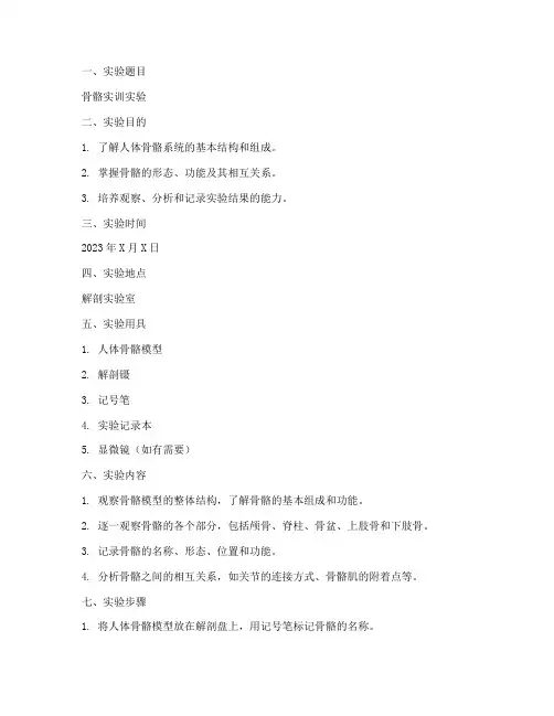 骨骼实训实验报告
