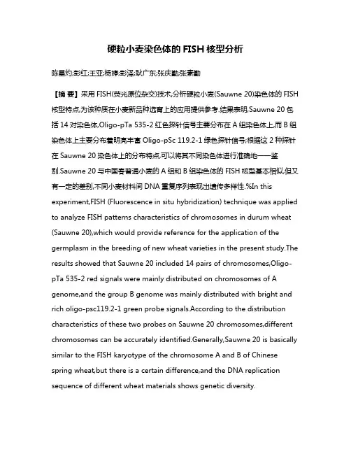 硬粒小麦染色体的FISH核型分析