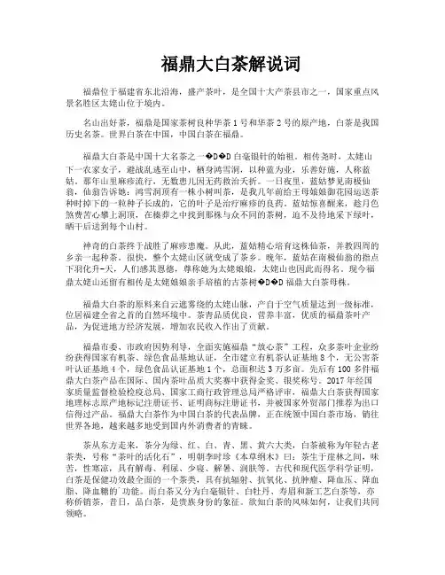 福鼎大白茶解说词