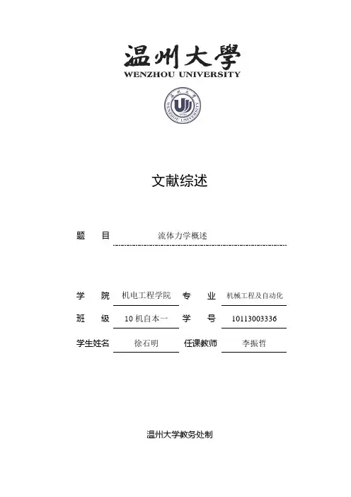 流体力学文献综述