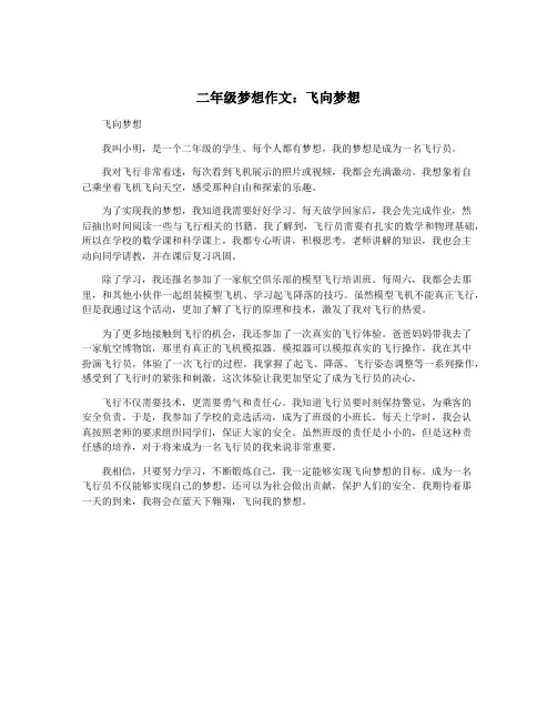 二年级梦想作文：飞向梦想