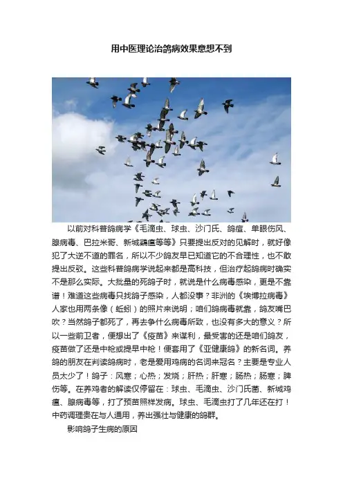 用中医理论治鸽病效果意想不到