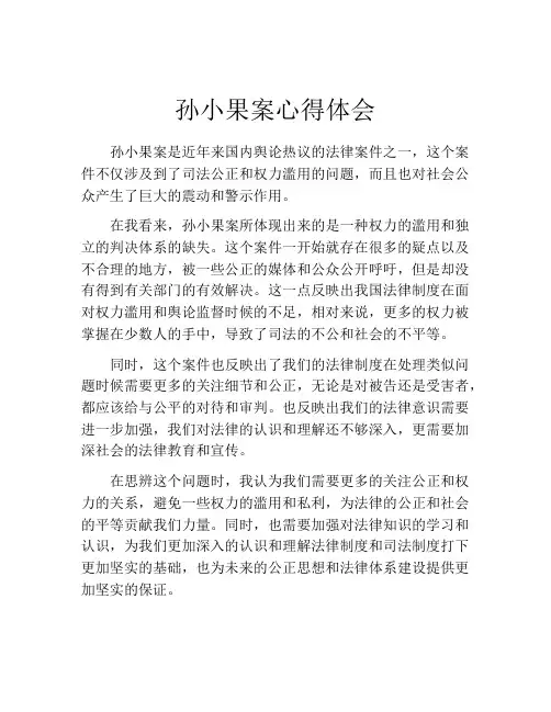 孙小果案心得体会