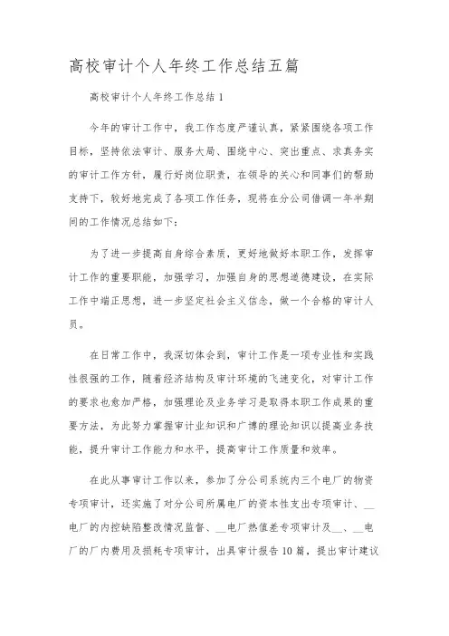 高校审计个人年终工作总结五篇