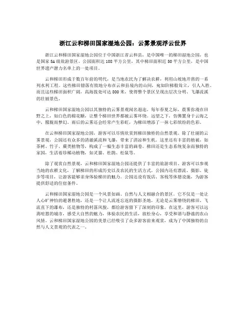 浙江云和梯田国家湿地公园：云雾景观浮云世界