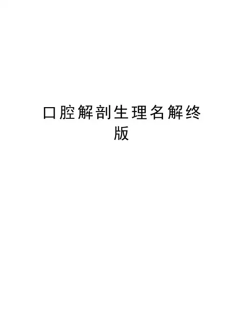 口腔解剖生理名解终版讲解学习