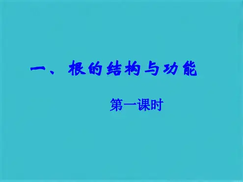 根的结构与功能(共18张PPT)