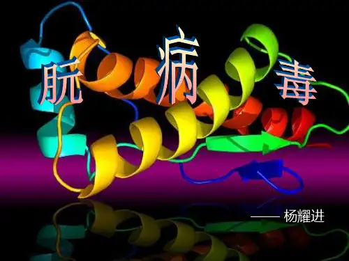 阮病毒的发现