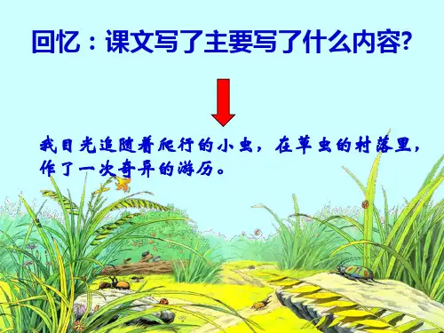 草虫的村落第二课时