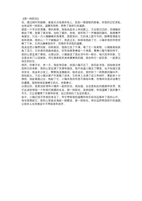 初中生中考作文范文：那一抹阳光