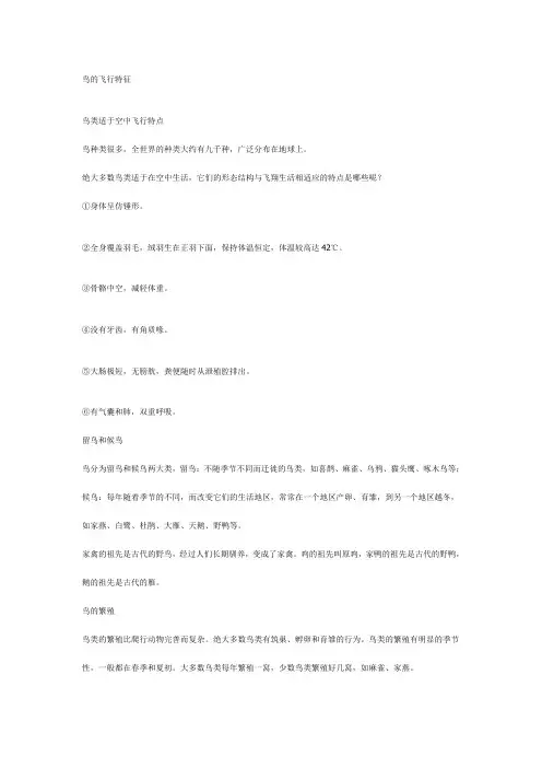 鸟的飞行特征