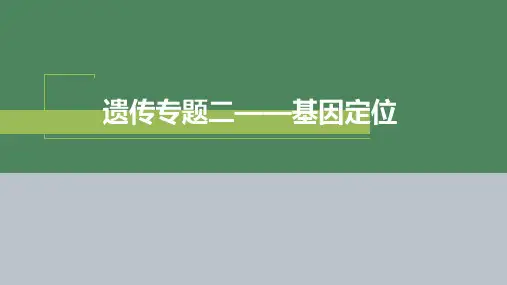 2023届高三生物二轮复习课件遗传专题(二)基因定位