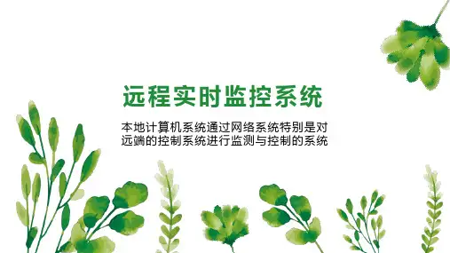 远程实时监控系统