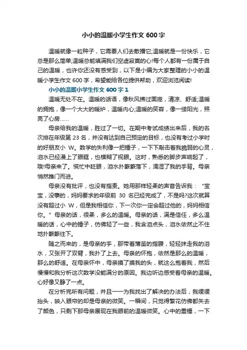 小小的温暖小学生作文600字