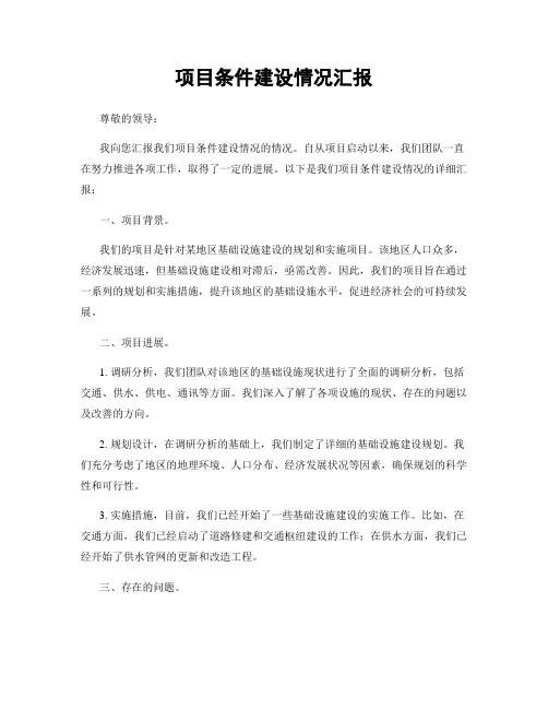 项目条件建设情况汇报