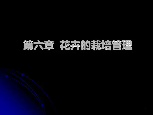 第六章花卉的栽培1露地花卉PPT课件