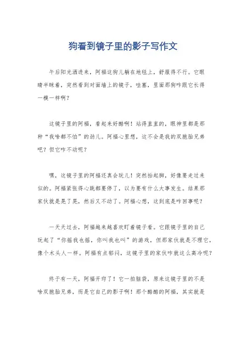 狗看到镜子里的影子写作文