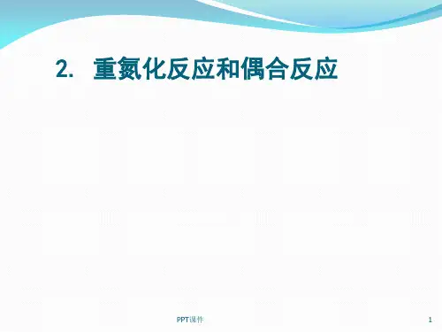 重氮化反应和偶合反应  ppt课件