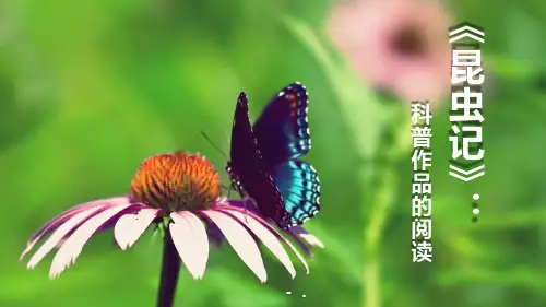 《昆虫记》PPT课件