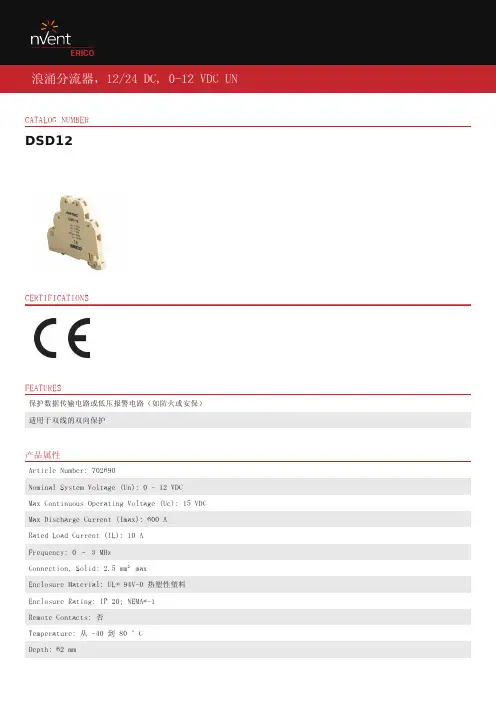 浪涌分流器DSD12产品说明书