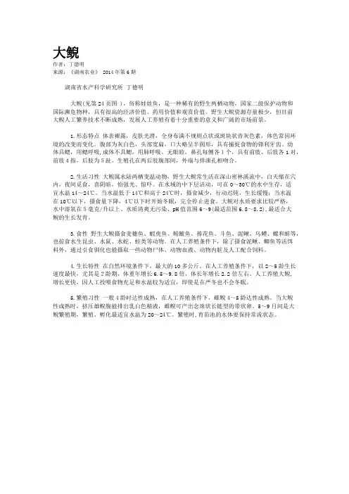 大鲵