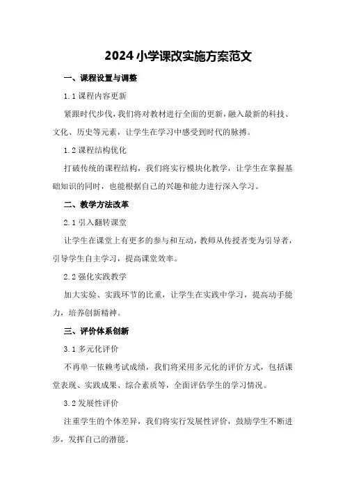2024小学课改实施方案范文