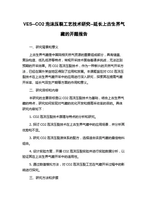 VES--CO2泡沫压裂工艺技术研究--延长上古生界气藏的开题报告