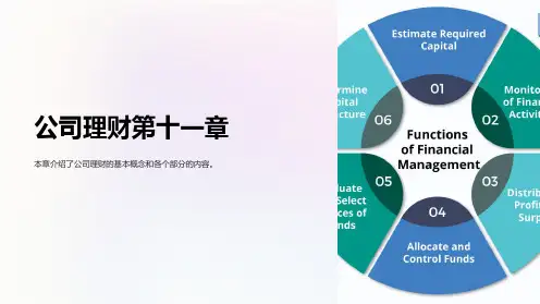 公司理财第十一章