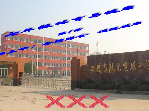 初中体育与健康七年级《合理膳食促进健康》PPT课件