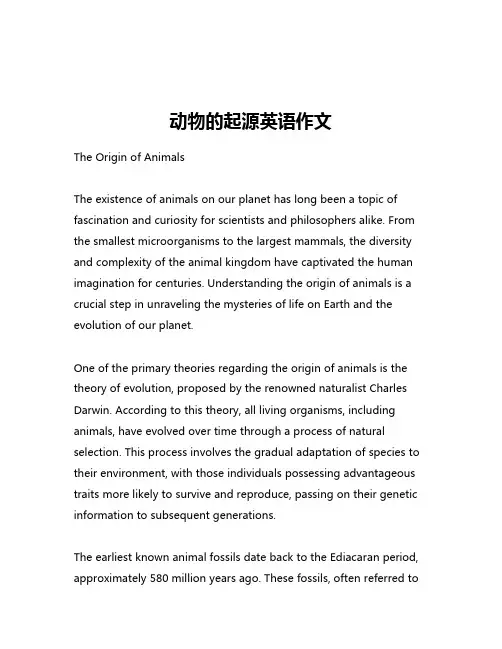 动物的起源英语作文