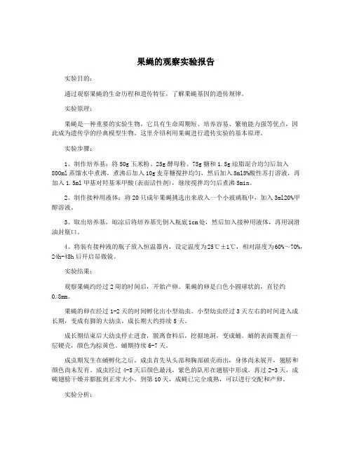 果蝇的观察实验报告