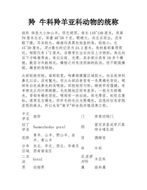 羚 牛科羚羊亚科动物的统称