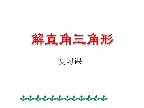 解直角三角形复习课件ppt