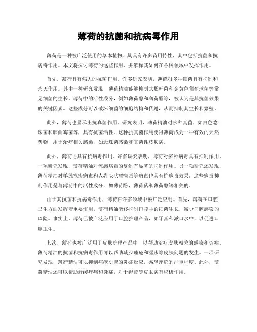 薄荷的抗菌和抗病毒作用
