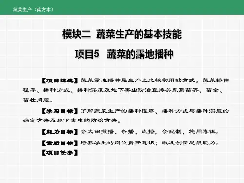 《蔬菜生产》课件——项目5  蔬菜露地播种