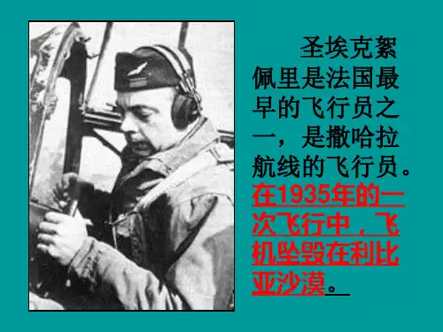 22《在沙漠中心》最终课件