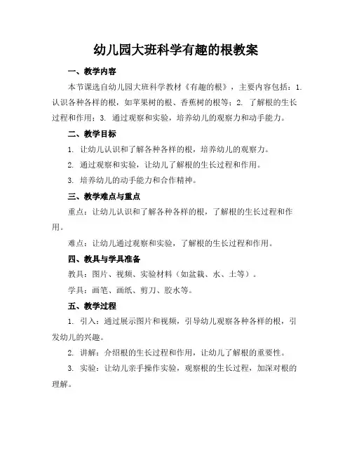 幼儿园大班科学有趣的根教案