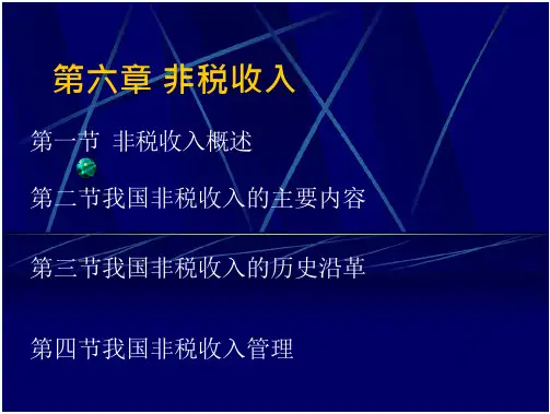 非税收入总结