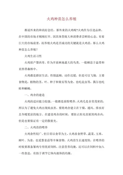 火鸡种苗怎么养殖