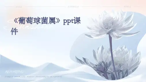 《葡萄球菌属》课件